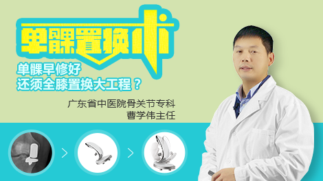 单髁置换术