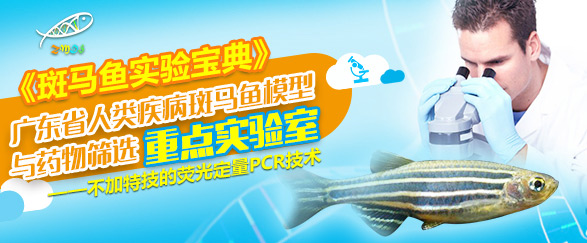 荧光定量pcr技术