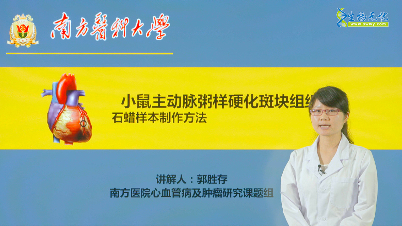 石蜡切片的免疫组化技术