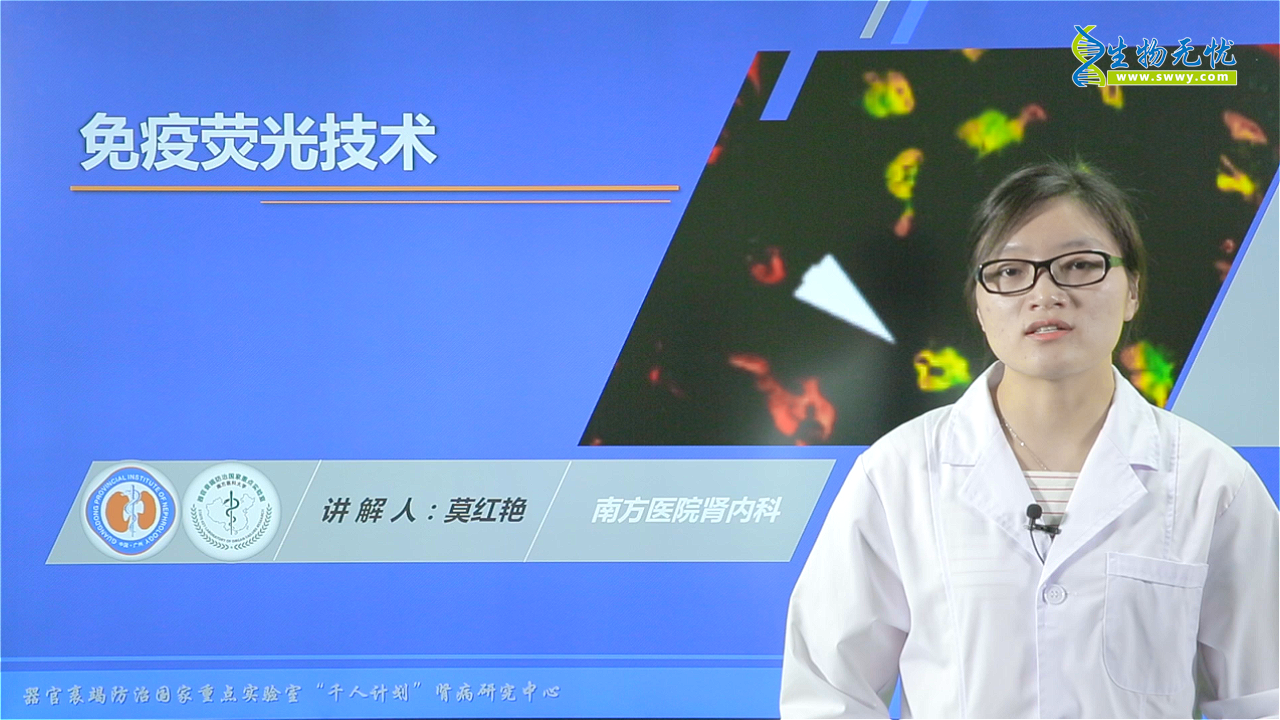 免疫荧光技术