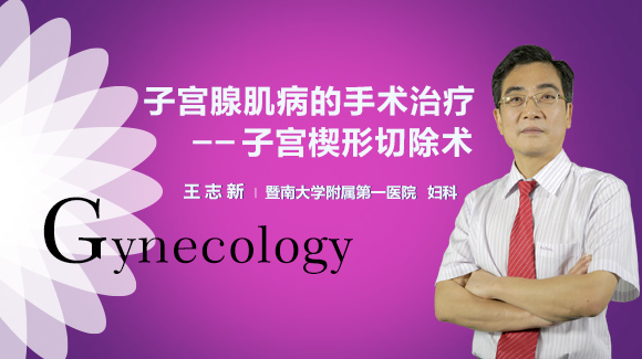 子宫楔形切除术