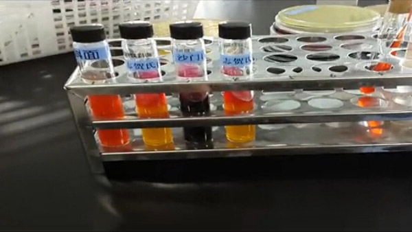 沙门氏菌三糖铁典型特征