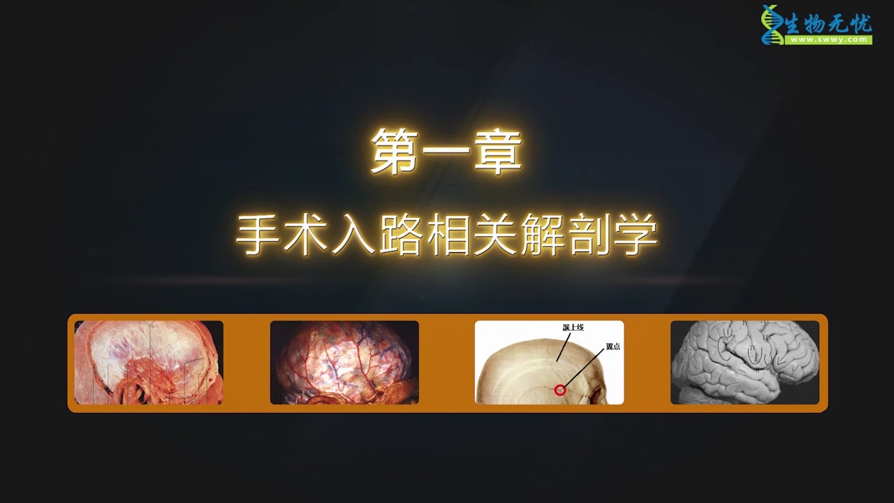 侧裂入路血肿清除术课堂