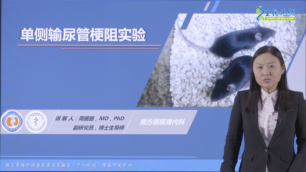 单侧输尿管梗阻